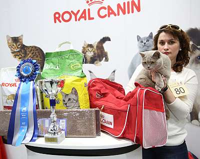 �������� �����  9-10 ������  7-80-169A7057.jpg