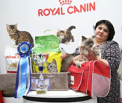 �������� �����  9-10 ������  8-56-169A7046.jpg