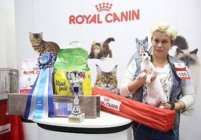 �������� �����  9-10 ������  9-109-169A7034.jpg