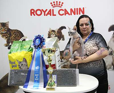 �������� �����  9-10 ������  1-138-169A8848.jpg