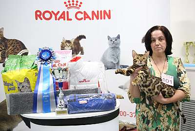 �������� �����  9-10 ������  10-101-169A8787.jpg