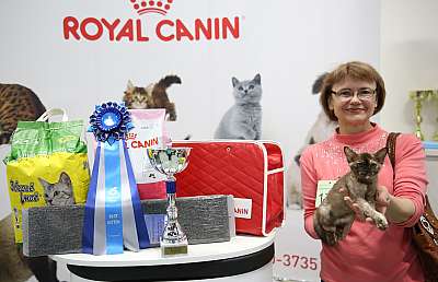 �������� �����  9-10 ������  11-179-169A8772.jpg