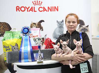 �������� �����  9-10 ������  13-135-169A8745.jpg