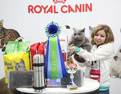 �������� �����  9-10 ������  14-162-169A8743.jpg