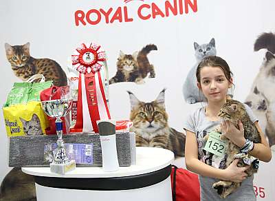 �������� �����  9-10 ������  15-152-169A8738.jpg