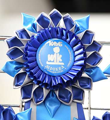 �������� �����  9-10 ������  169A5411.jpg