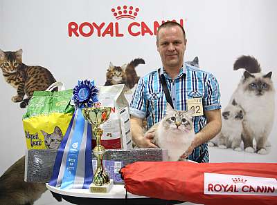 �������� �����  9-10 ������  2-62-169A8822.jpg