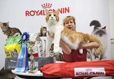 �������� �����  9-10 ������  3-20-169A8836.jpg