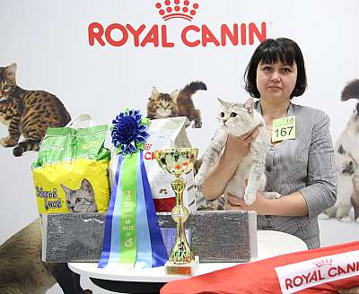 �������� �����  9-10 ������  4-167-169A8817.jpg