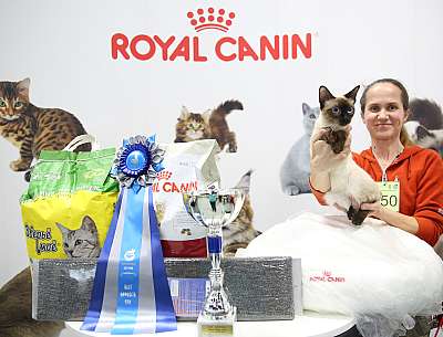 �������� �����  9-10 ������  5-150-169A8814.jpg