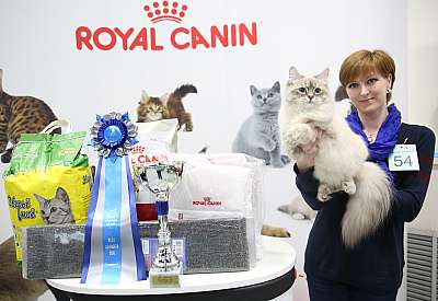 �������� �����  9-10 ������  6-54-169A8804.jpg