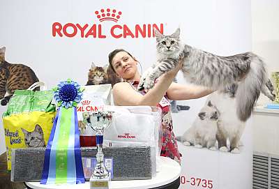 �������� �����  9-10 ������  7-39-169A8793.jpg