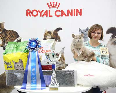 �������� �����  9-10 ������  8-80-169A8807.jpg