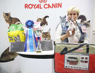 �������� �����  9-10 ������  9-109-169A8790.jpg