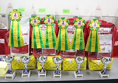 �������� �����  9-10 ������  169A7350.jpg