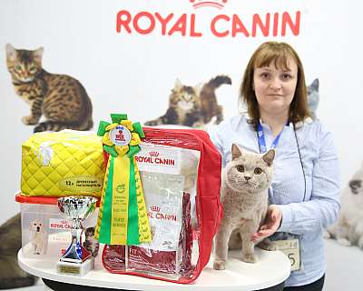 �������� �����  9-10 ������  4-95-169A6348.jpg