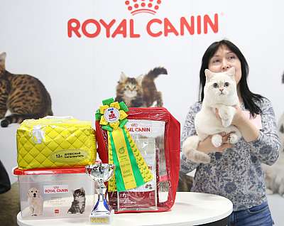 �������� �����  9-10 ������  6-78-169A6352.jpg