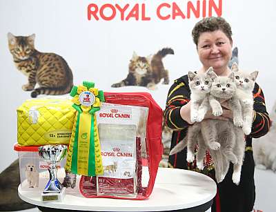 �������� �����  9-10 ������  7-70-169A6335.jpg