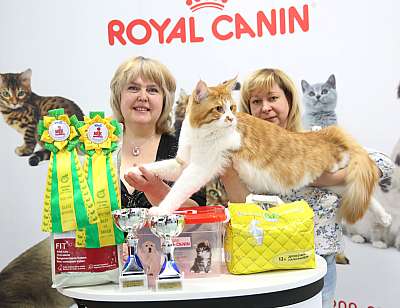 �������� �����  9-10 ������  1-20-169A5492.jpg