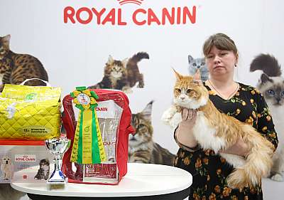 �������� �����  9-10 ������  4-18-169A5360.jpg