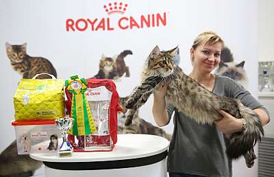 �������� �����  9-10 ������  6-37-169A5355.jpg