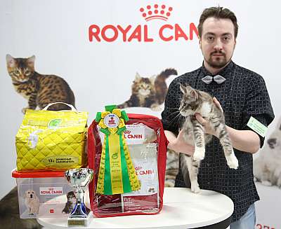 �������� �����  9-10 ������  7-5-169A5338.jpg