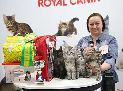 �������� �����  9-10 ������  8-1-169A5336.jpg