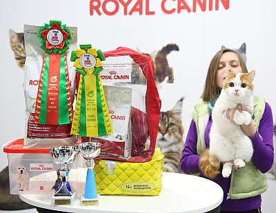 �������� �����  9-10 ������  1-130-169A8158.jpg