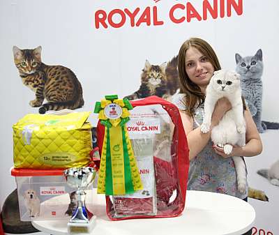 �������� �����  9-10 ������  3-125-169A8172.jpg