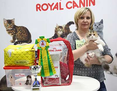 �������� �����  9-10 ������  4-180-169A8163.jpg