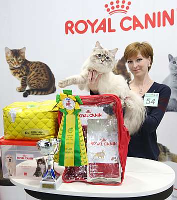 �������� �����  9-10 ������  3-54-169A7467.jpg