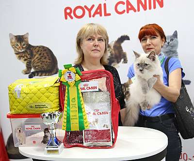 �������� �����  9-10 ������  5-153-169A7497.jpg