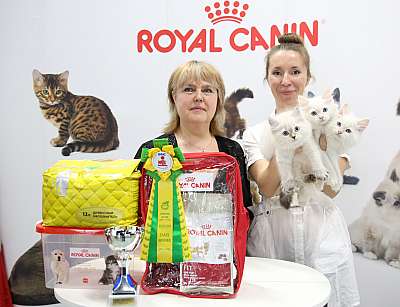 �������� �����  9-10 ������  6-49-169A7505.jpg