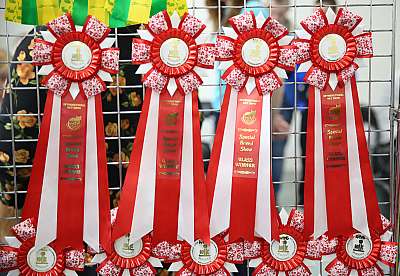 �������� �����  9-10 ������  169A7355.jpg