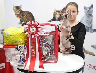 �������� �����  9-10 ������  3-148-169A8445.jpg