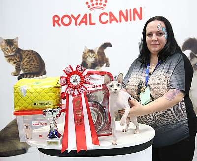 �������� �����  9-10 ������  4-139-169A8348.jpg