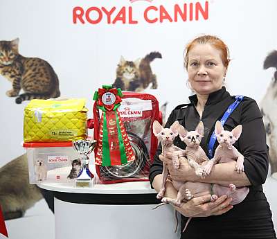 �������� �����  9-10 ������  7-135-169A8326.jpg