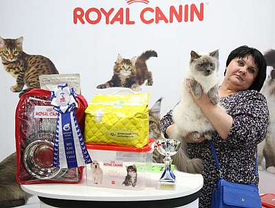 �������� �����  9-10 ������  1-56-169A6120.jpg