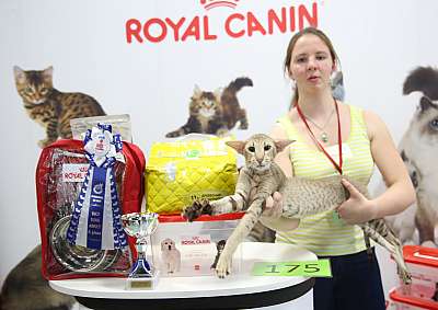 �������� �����  9-10 ������  10-175-169A6043.jpg