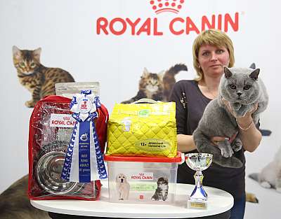 �������� �����  9-10 ������  3-156-169A6099.jpg