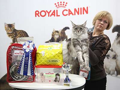 �������� �����  9-10 ������  5-6-169A6085.jpg