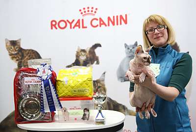 �������� �����  9-10 ������  8-145-169A6058.jpg