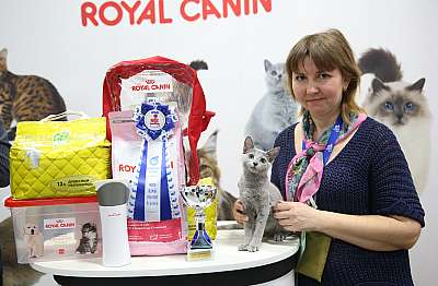 �������� �����  9-10 ������  10-117-169A7928.jpg