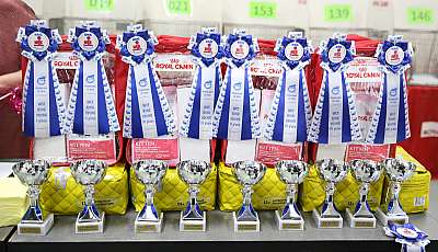 �������� �����  9-10 ������  169A7661.jpg