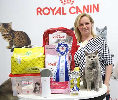 �������� �����  9-10 ������  2-158-169A7978.jpg