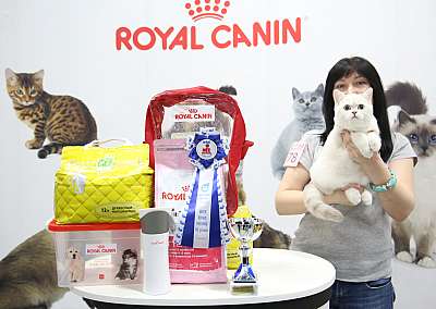 �������� �����  9-10 ������  3-78-169A7972.jpg