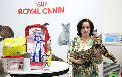 �������� �����  9-10 ������  6-101-169A7948.jpg