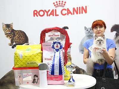 �������� �����  9-10 ������  7-153-169A7945.jpg