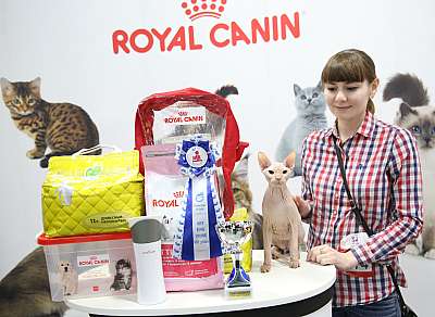 �������� �����  9-10 ������  8-174-169A7937.jpg