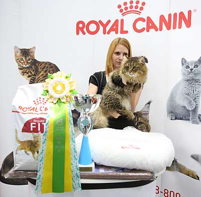 �������� ����� 23-24 ���� 4-69-169A0550.jpg